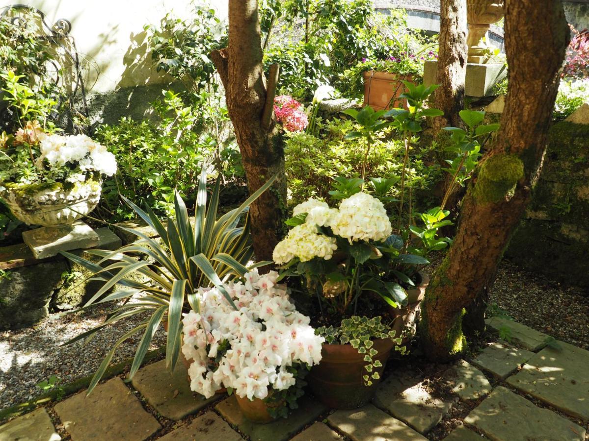 巴尼－迪卢卡Casa Ella住宿加早餐旅馆 外观 照片